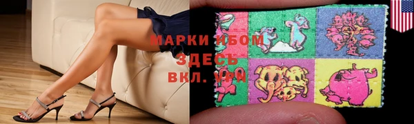 PSILOCYBIN Михайлов