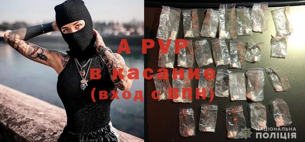 PSILOCYBIN Михайлов
