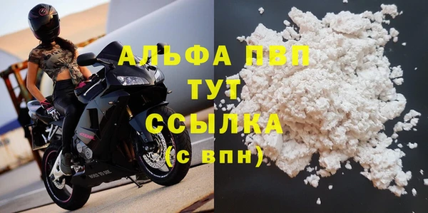 PSILOCYBIN Михайлов