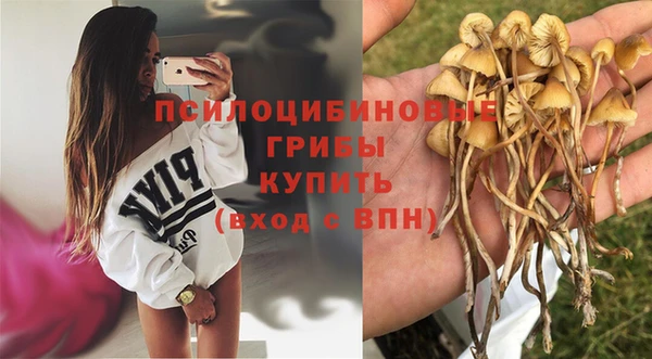 твердый Михайловка