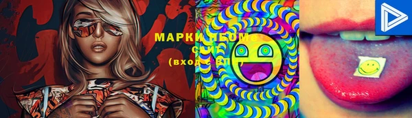 PSILOCYBIN Михайлов