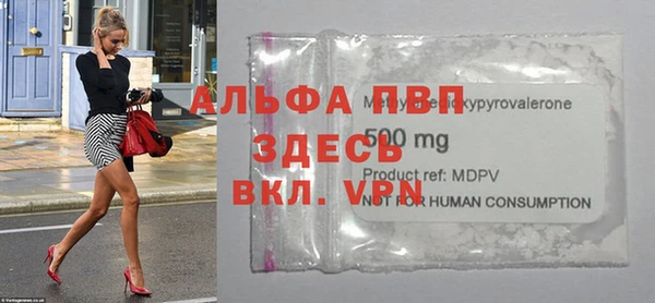 PSILOCYBIN Михайлов