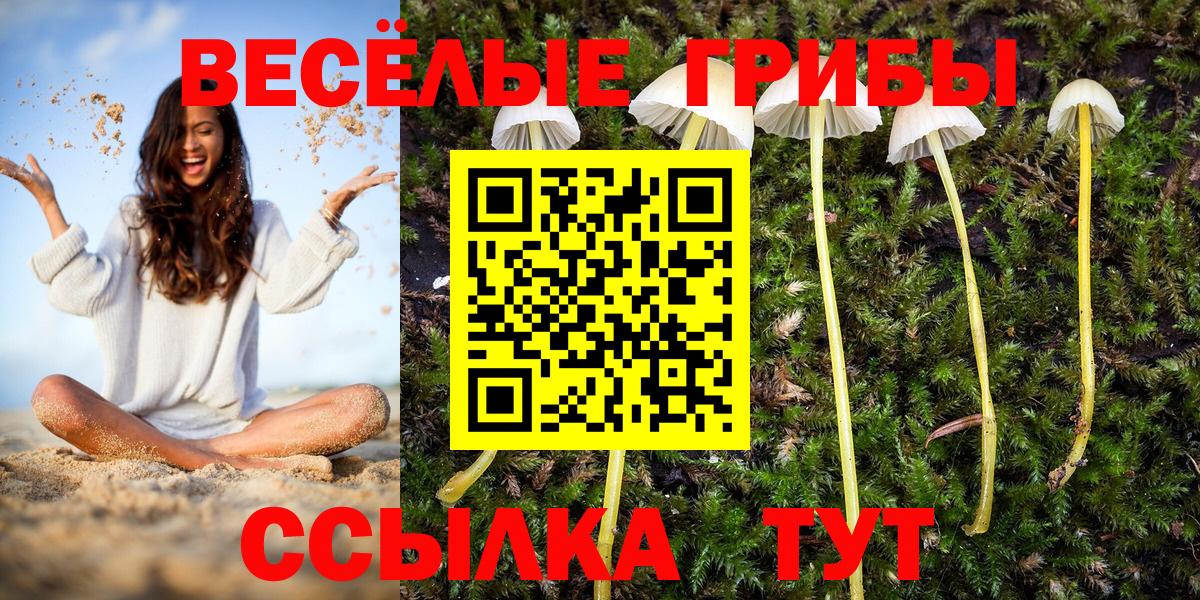Галлюциногенные грибы Psilocybine cubensis Усть-Илимск