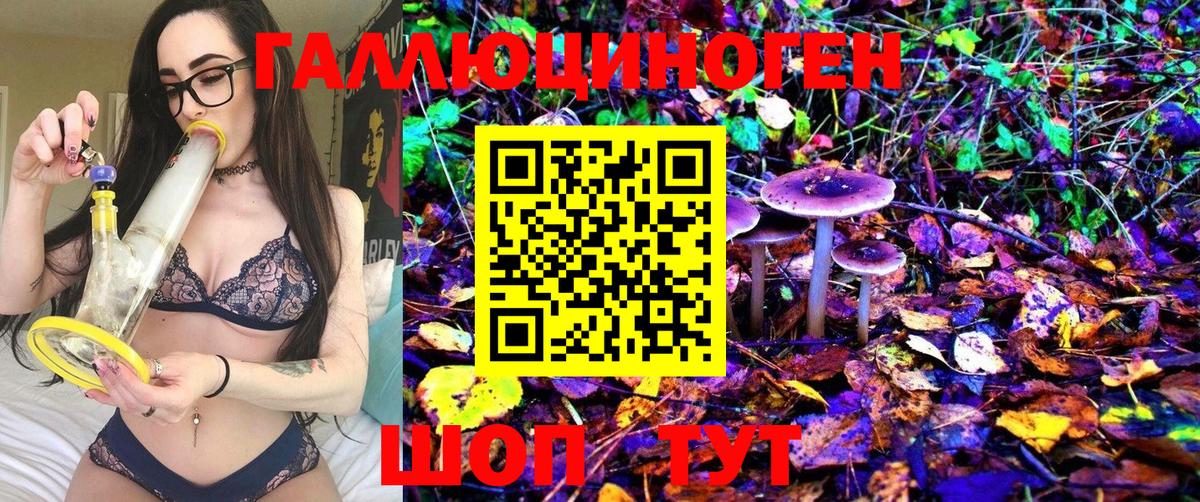 Псилоцибиновые грибы Cubensis Усть-Илимск