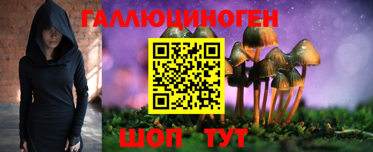 Псилоцибиновые грибы Psilocybe  где купить наркоту  Усть-Илимск  Псилоцибиновые грибы MAGIC MUSHROOMS 